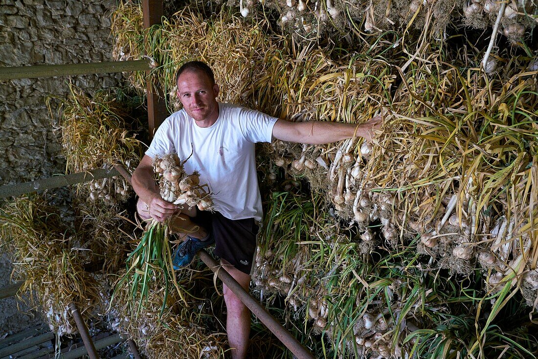 France,Tarn,Lautrec,portrait of Gael Bardou,producer of Pink Garlic Lautrec and President of the Red Label Defense and Lautrec pink Garlic IGP,storage of garlic in the drying shed