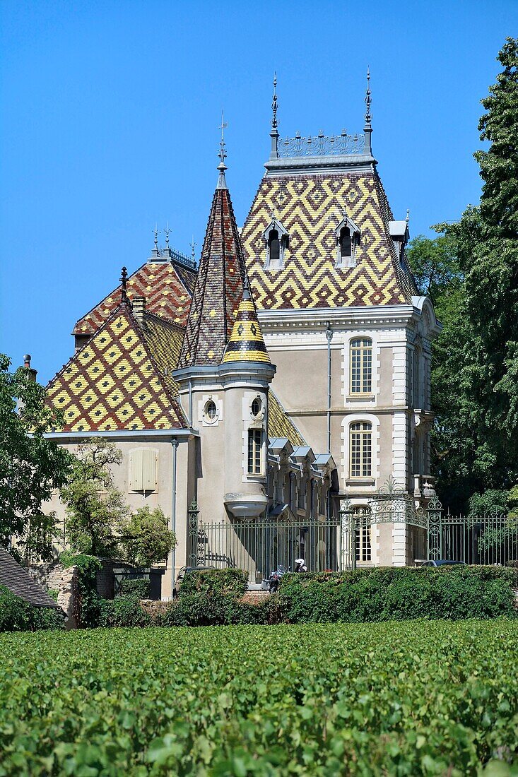 France,Cote d'Or,Aloxe Corton,Burgundy climates listed as World Heritage by UNESCO,Route des Grands Crus,Cote de Beaune vineyard,Chateau Corton Andre