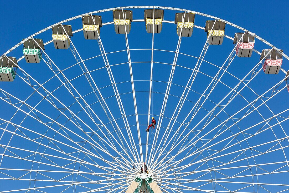 France,Meurthe et Moselle,Nancy,Grande Roue (Ferris Wheel) of the Foire Attractive de Nancy (Nancy attractive feast) in Cours Leopold