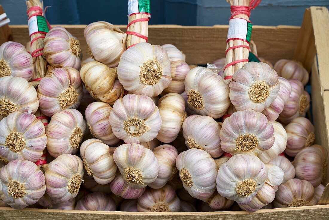 Frankreich,Tarn,Lautrec,Geschäft La Ferme du Village,Verkauf von lokalen Produkten,Lautrec Knoblauch