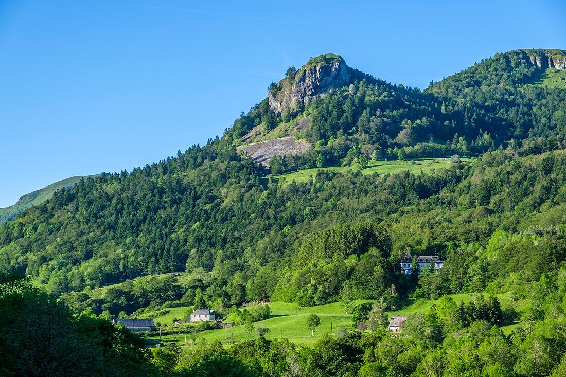 Frankreich,Cantal,Regionaler Naturpark der Vulkane der Auvergne,monts du Cantal,Cantal-Berge,Mars-Tal