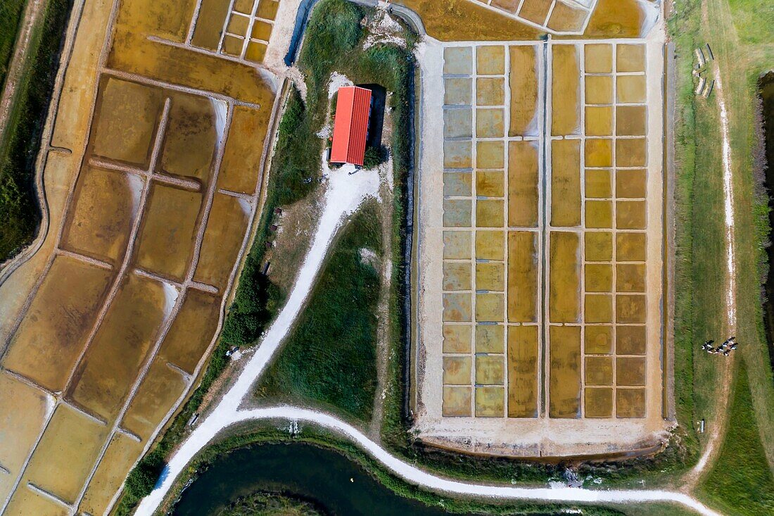 France,Charente-Maritime,Oleron island,Port of Salines,Grand Village (aerial view)