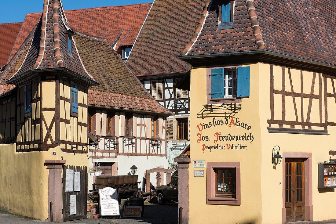 France,Haut Rhin,Eguisheim,labelled Les Plus Beaux Villages de France (The Most beautiful Villages of France),Vine Freudenreich Joseph et Fils