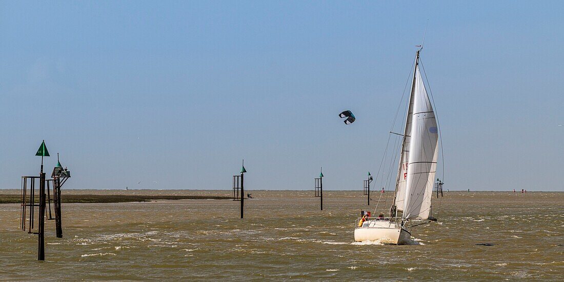 France,Somme,Baie de Somme,Saint Valery sur Somme,Return to the port of a sailboat in the channel of the Somme at Cape Hornu