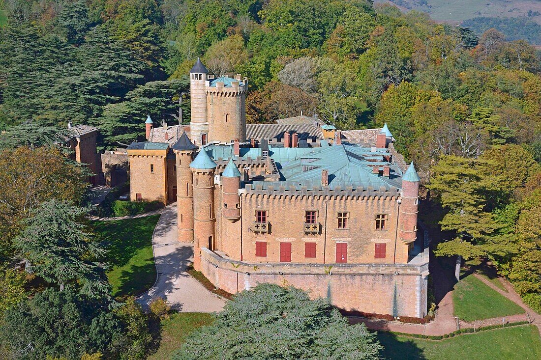 France,Rhone,Le Beaujolais,Montmelas Saint Sorlin,chateau de Montmelas,paysage du vignoble du Beaujolais (vue aerienne)