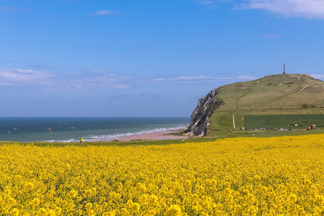 Frankreich,Pas de Calais,Opalküste,Großer Standort der beiden Caps,Escalles,Cap Blanc nez,Rapsfeld vor Cap Blanc Nez