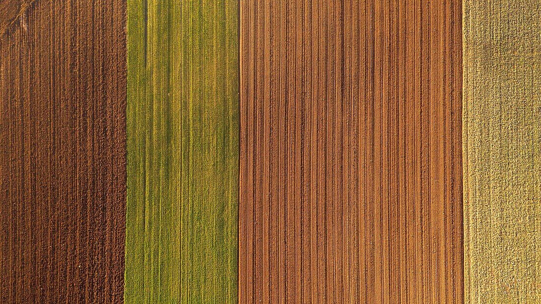 France,Alpes de Haute Provence,Verdon Regional Nature Park,Valensole Plateau,Valensole (aerial view)