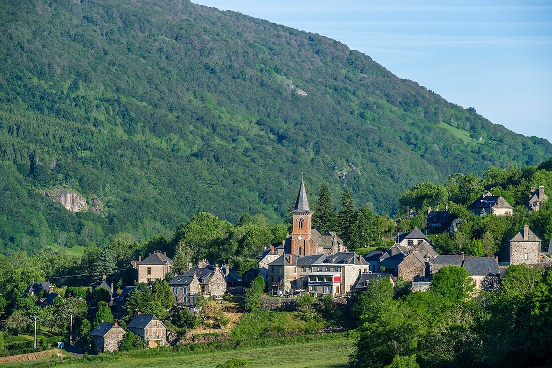 Frankreich,Cantal,Regionaler Naturpark der Vulkane der Auvergne,monts du Cantal,Cantal-Berge,Le Falgoux,Mars-Tal