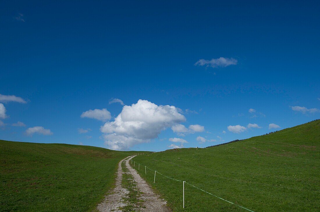 France,Haute Savoie,Glieres Plateau,Bornes massif,non passable track in the Northern Alpine pastures