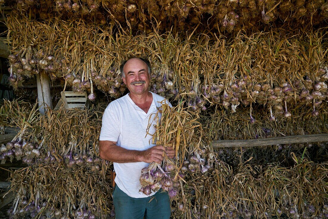 France,Tarn et Garonne,The Cause,portrait of Jean Luc Cayrel,producer of Ail Violet AOC,and world champion of the braid in 2012,after the harvest,garlic is stored in the barn for drying