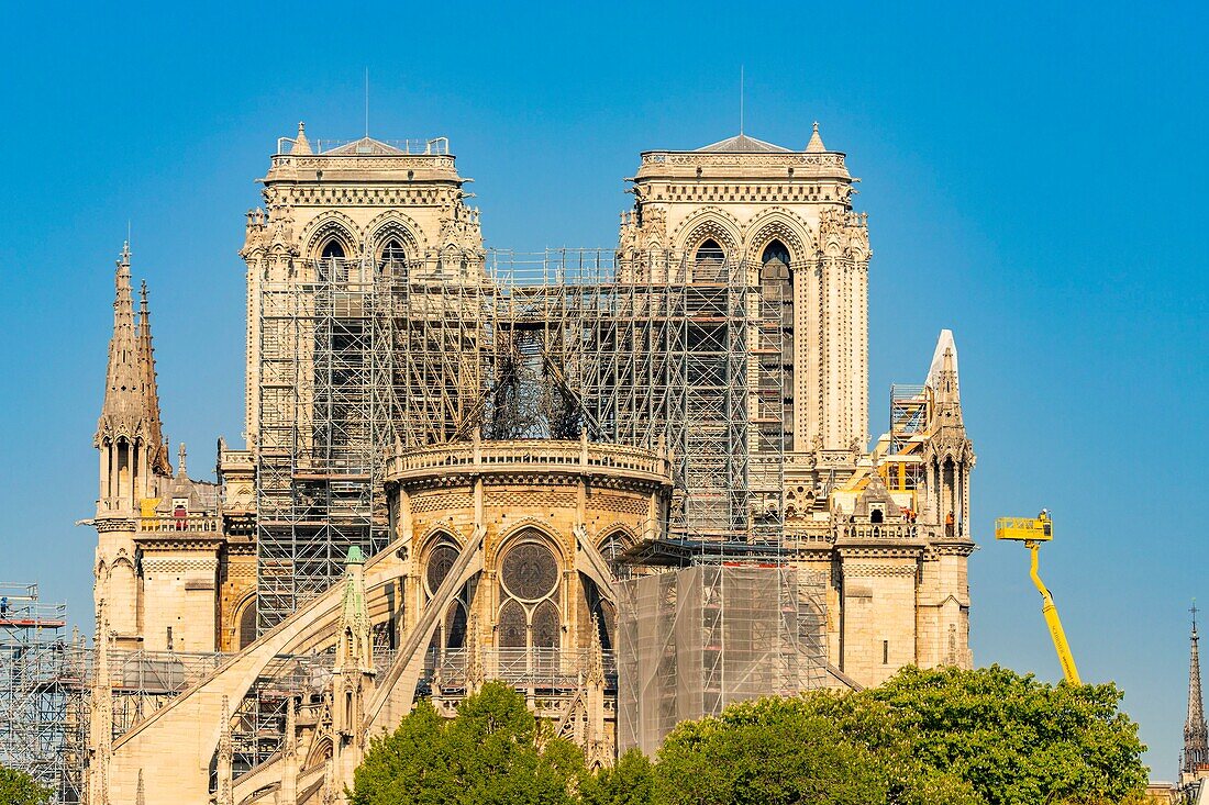 Frankreich,Paris,Welterbe der UNESCO,Ile de la Cite,Kathedrale Notre Dame,Gerüst,Schutz nach dem Brand