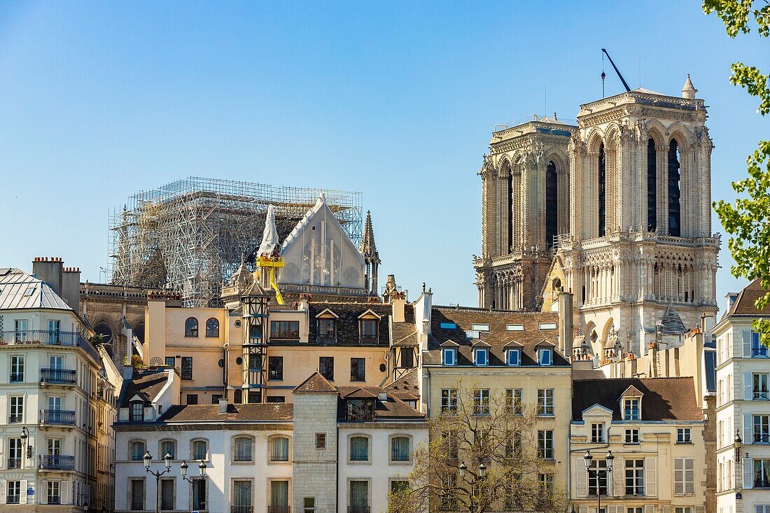 Frankreich,Paris,Weltkulturerbe der UNESCO,Ile de la Cite,Kathedrale Notre Dame