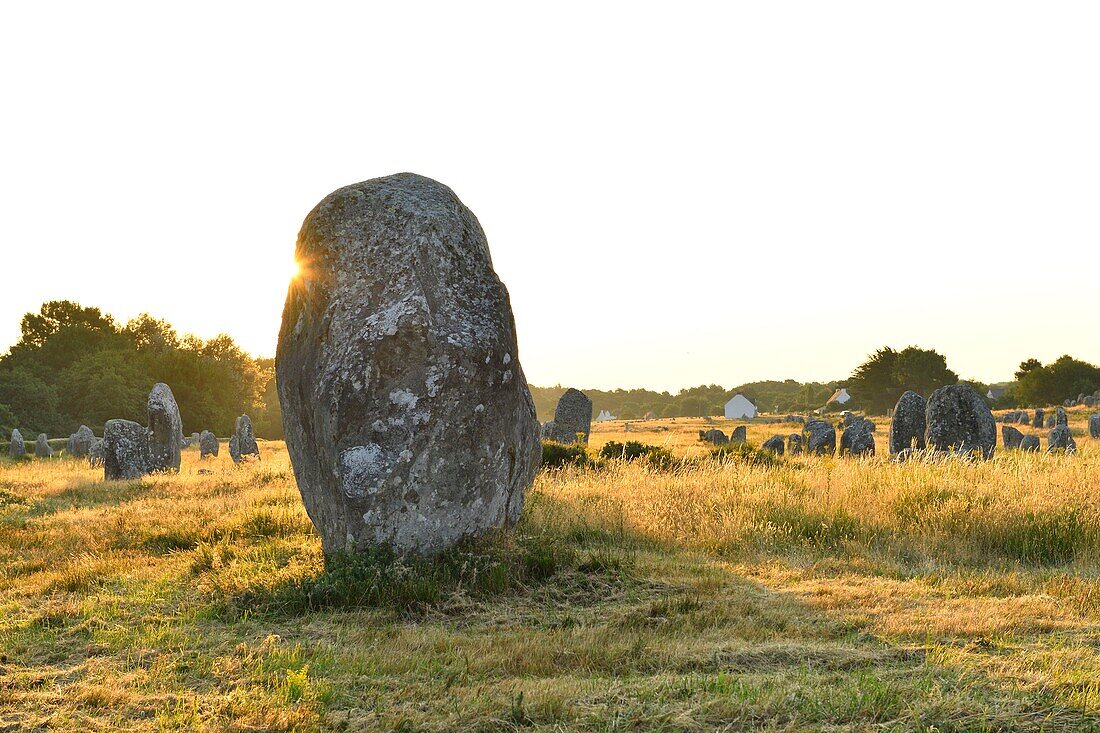 Frankreich,Morbihan,Carnac,Megalithische Stätte von Menec