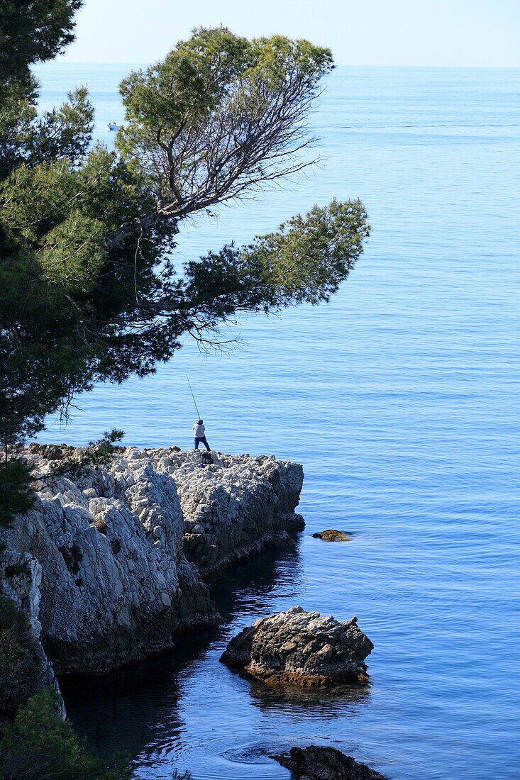 France,Alpes Maritimes,Antibes,Cap d'Antibes,coastal path