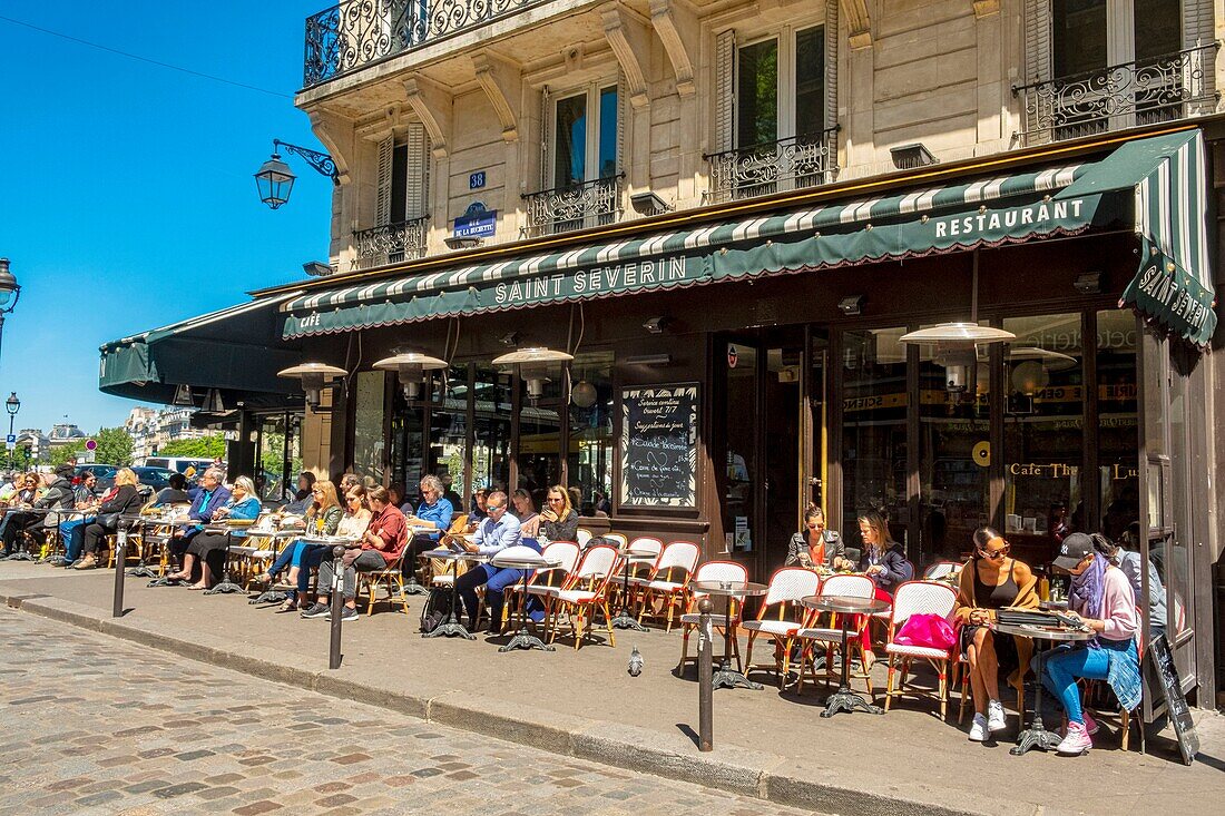 France,Paris,Saint Michel district,Saint Severin cafe