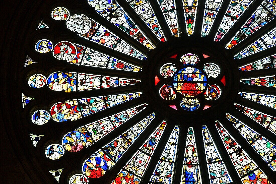 France,Maine et Loire,Angers,Saint Maurice cathedral,south rose window