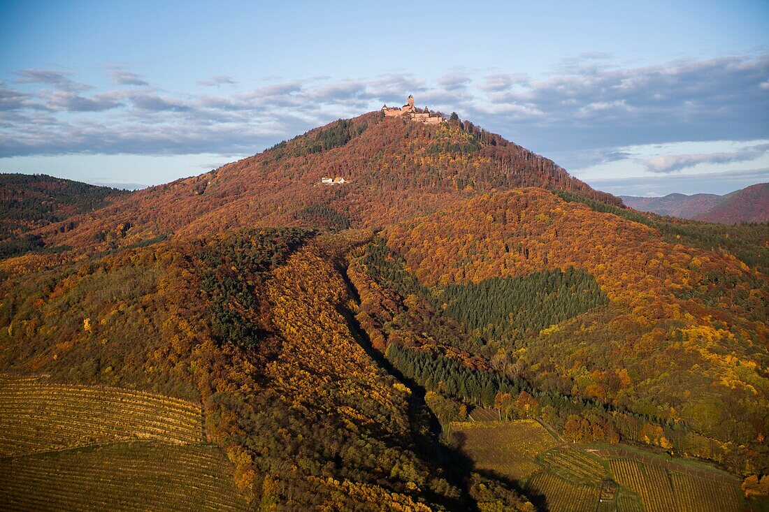 Frankreich,Bas Rhin,Orschwiller,Elsässer Weinstraße,Schloss Haut Koenigsbourg (Luftaufnahme)