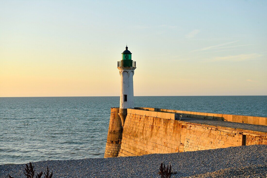 France,Seine Maritime,Pays de Caux,Cote d'Albatre,Saint Valery en Caux,lighthouse