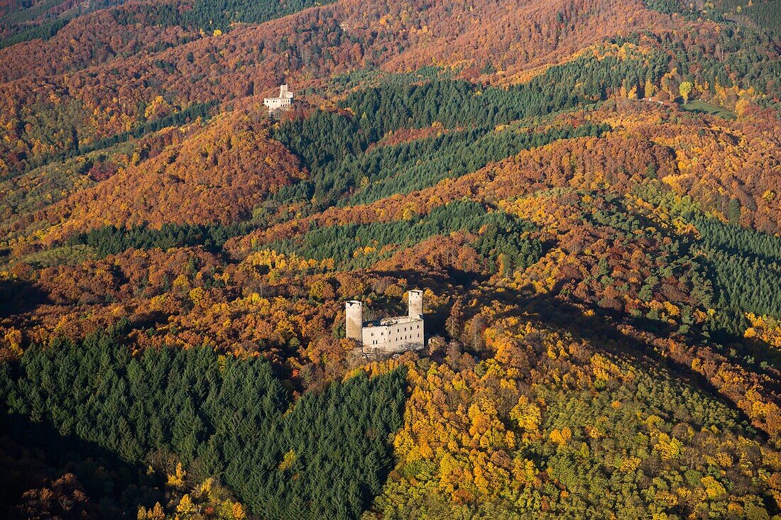 France,Bas Rhin,wine road of Alsace,Andlau castle (aerial view)