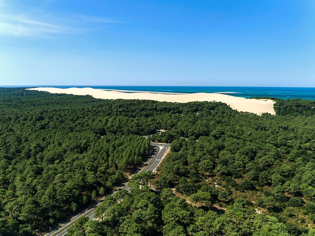 France,Gironde,Bassin d'Arcachon,La Teste de Buch,Dune du Pilat (aerial view)