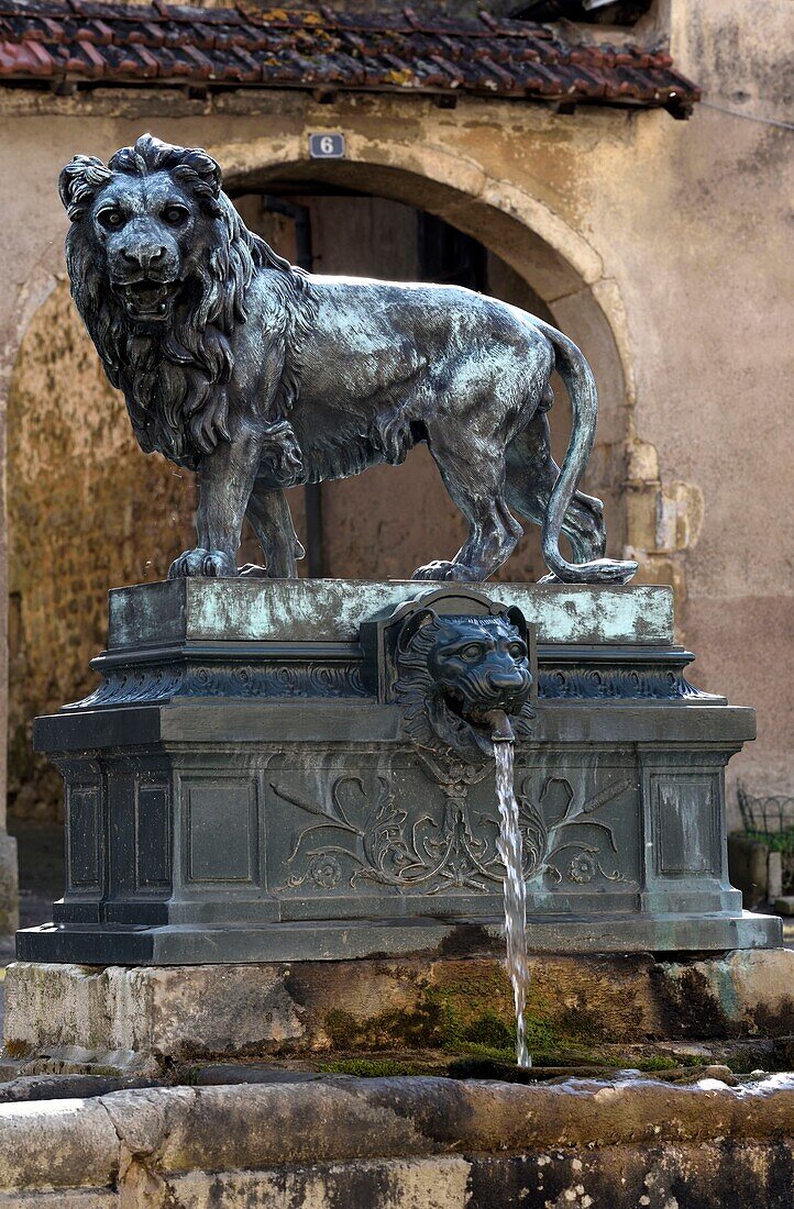 France,Haute Saone,Jussey,rue Charles Bontemps,la fontaine du Lion