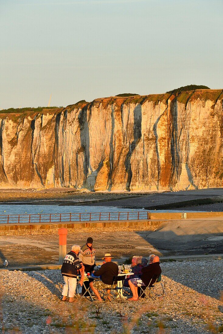 France,Seine Maritime,Pays de Caux,Cote d'Albatre,Saint Valery en Caux,Amont cliff