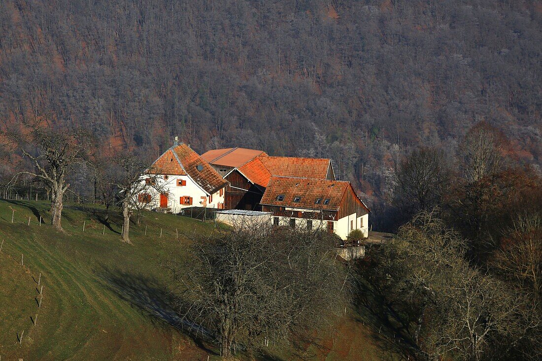 France,Haut Rhin,Sainte Marie aux Mines,Former Mennonite farm on the heights of Sainte Marie aux Mines,It is now a cottage At the Oree des Biches at 49 Petit Haut,68160 Sainte Marie aux Mines