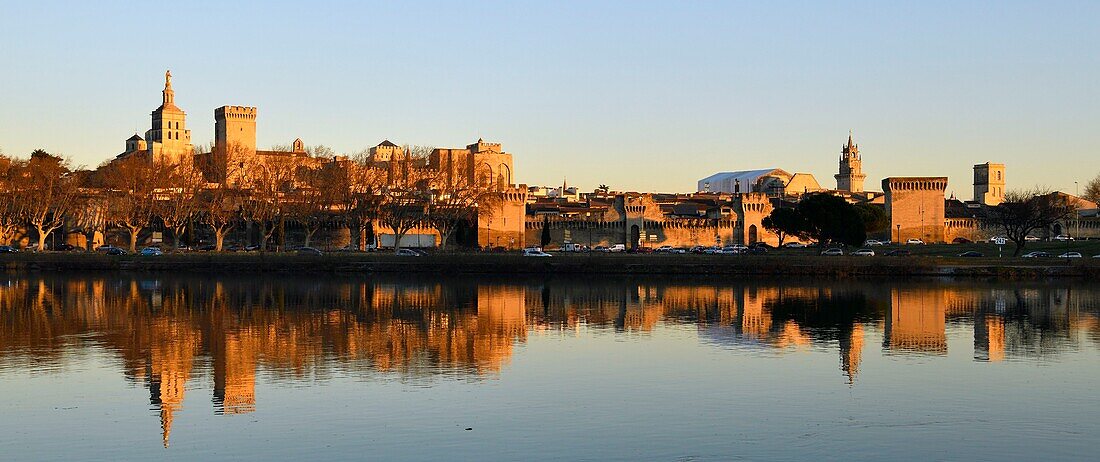 France,Vaucluse,Avignon,the Rhone river the Cathedral of Doms dating from the 12th century and the Papal Palace listed UNESCO World Heritage