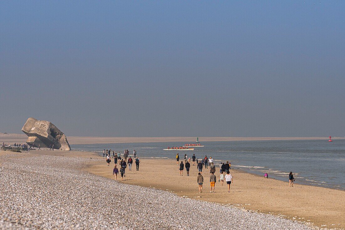 Frankreich,Somme,Baie de Somme,Le Hourdel,Indonesische Kanus und Kajaks bei Flut,die Boote warten auf die Strömung und die Gezeiten am Eingang der Bucht und fahren dann mit Hilfe der starken Strömung hinauf,manchmal in Begleitung von Seehunden,manche lassen ihr Boot auf den Sandbänken liegen, um die von der Flut vertriebenen Vögel zu beobachten