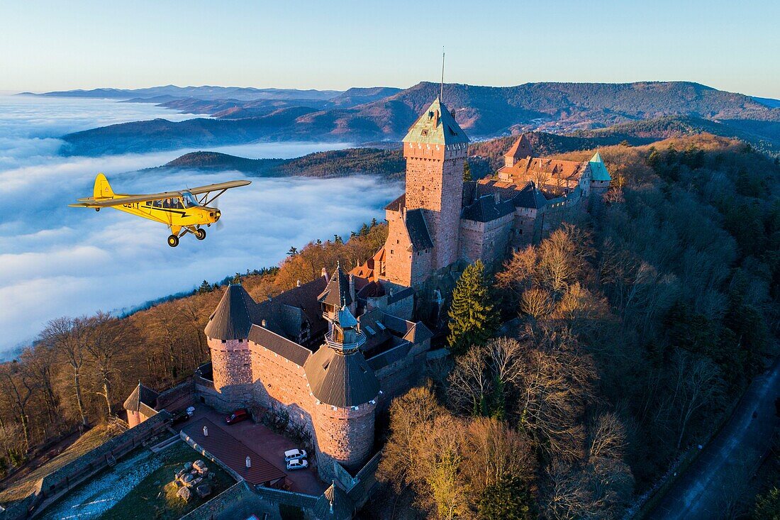 France,Bas Rhin,Orschwiller,Alsace Wine road,Haut Koenigsbourg Castle (aerial view)