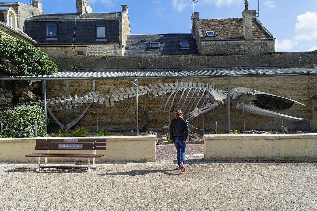 France,Calvados,Cote de Nacre,Luc sur Mer,iconic whale in the city hall park