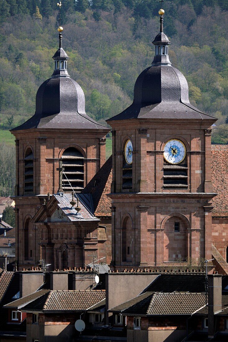 France,Vosges,Saint Die des Vosges,Jean Mansuy Park,from the tower of Liberty,the cathedral,towers