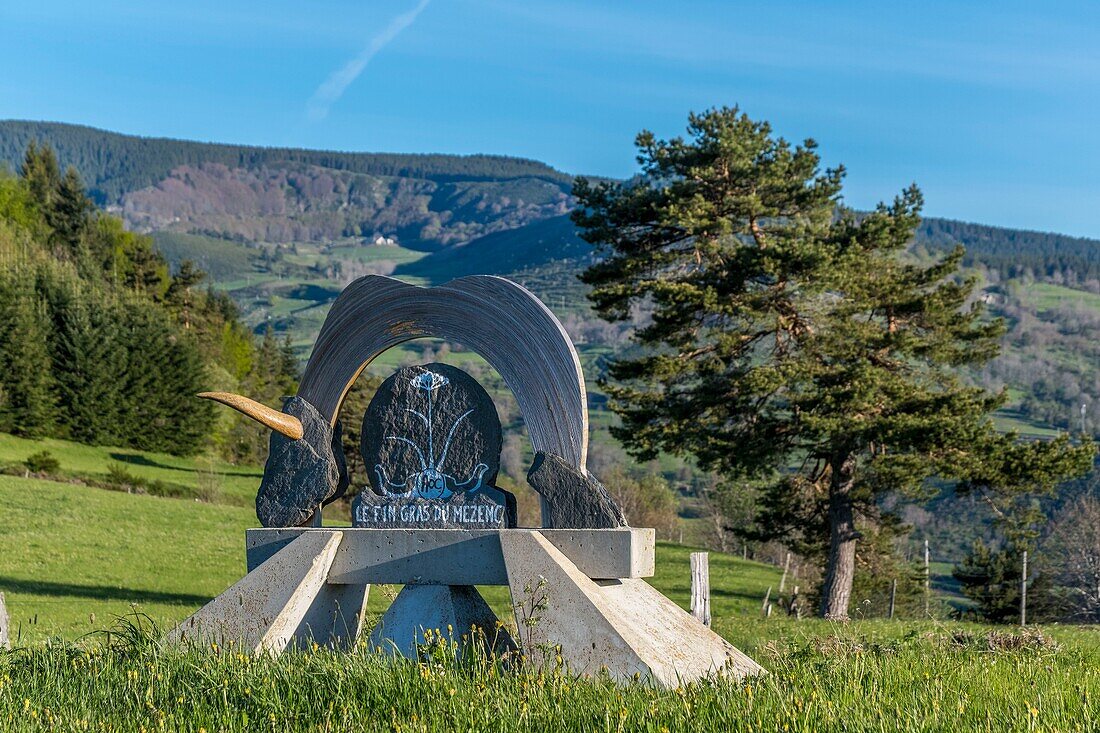 Frankreich,Ardeche,Parc Naturel Regional des Monts d'Ardeche (Regionales Naturschutzgebiet der Berge der Ardeche),Eintrag im AOP-Gebiet Fin Gras du Mézenc,Vivarais,Gebiet Sucs