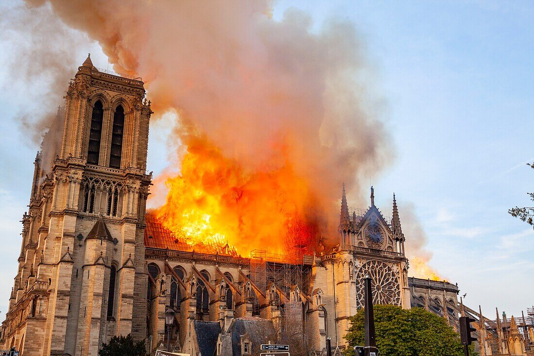 Frankreich,Paris,Gebiet, das von der UNESCO zum Weltkulturerbe erklärt wurde,Ile de la Cite,Kathedrale Notre Dame de Paris,Brand, der die Kathedrale am 15. April 2019 verwüstet hat