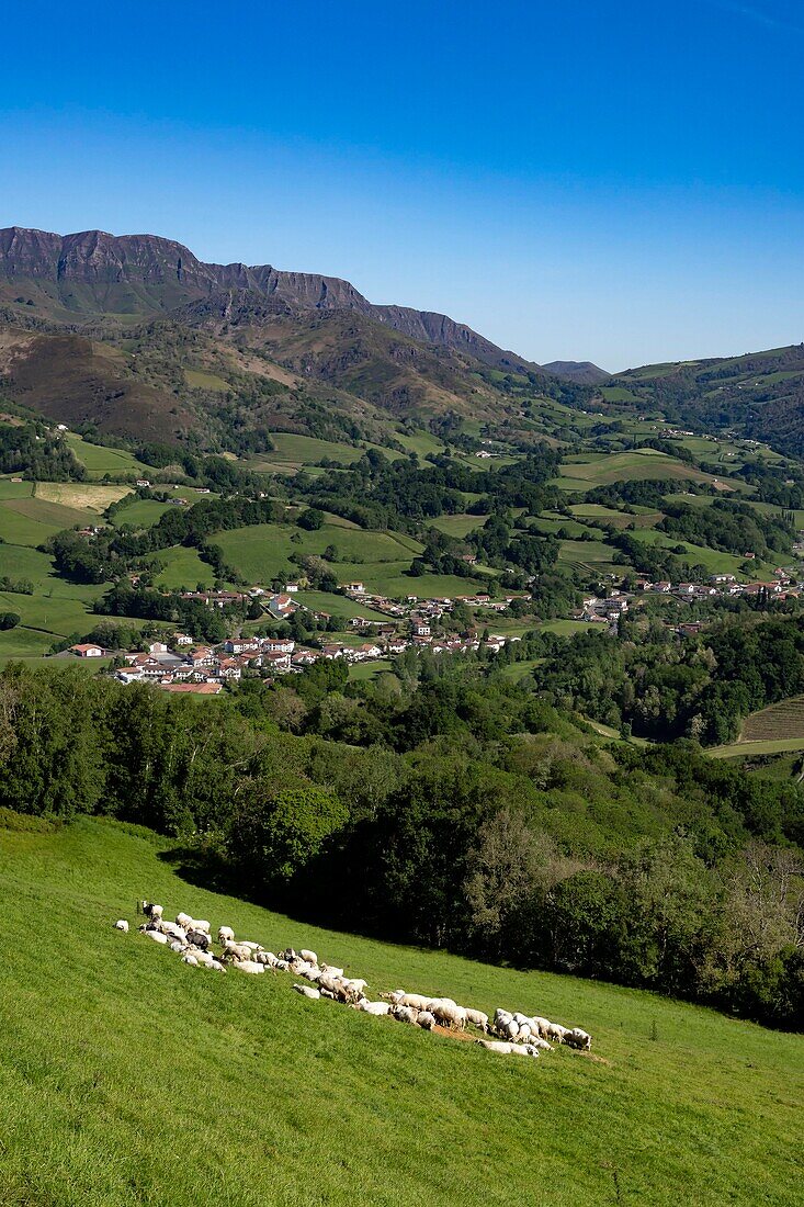 France,Pyrenees Atlantiques,Basque country,Saint Etienne de Baigorry