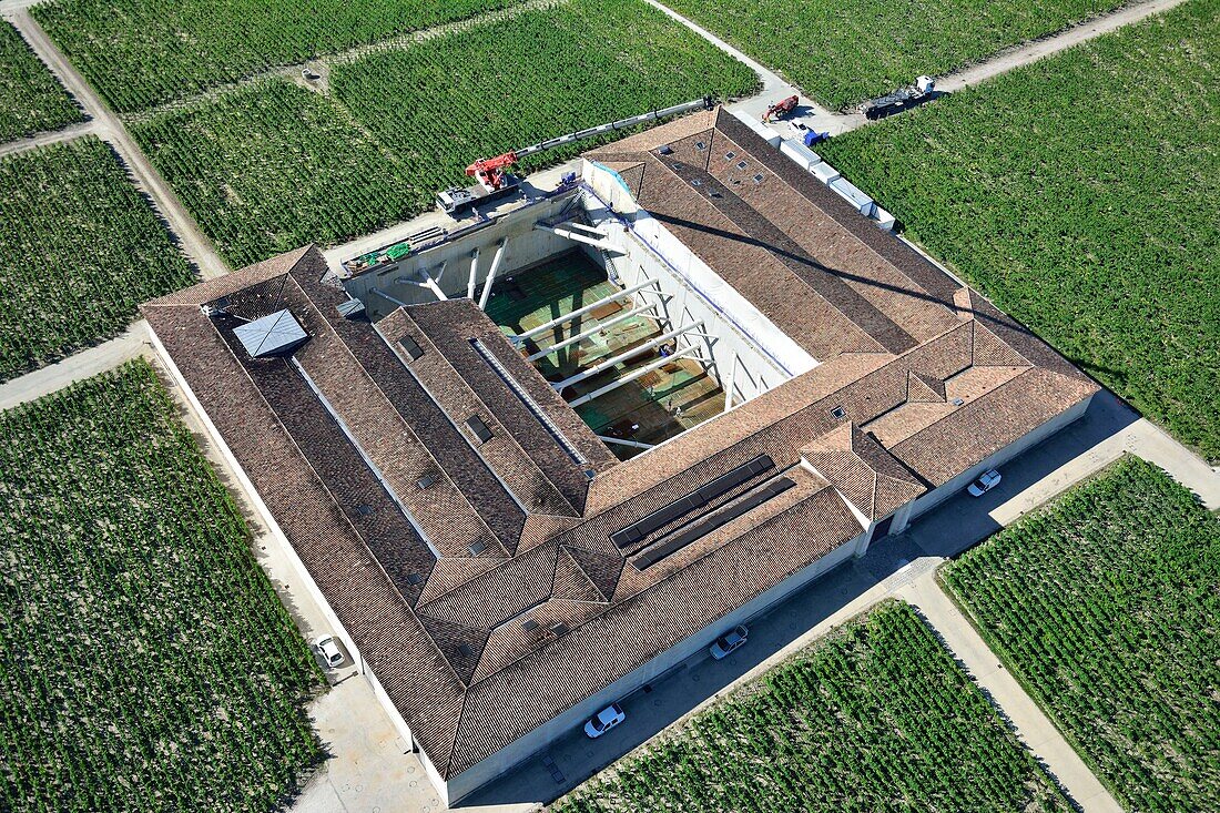 France,Gironde,Pauillac,Chateau Latour ,Renovation of wine storehouses,vineyard where a wine premier cru is produced,aerial (view)