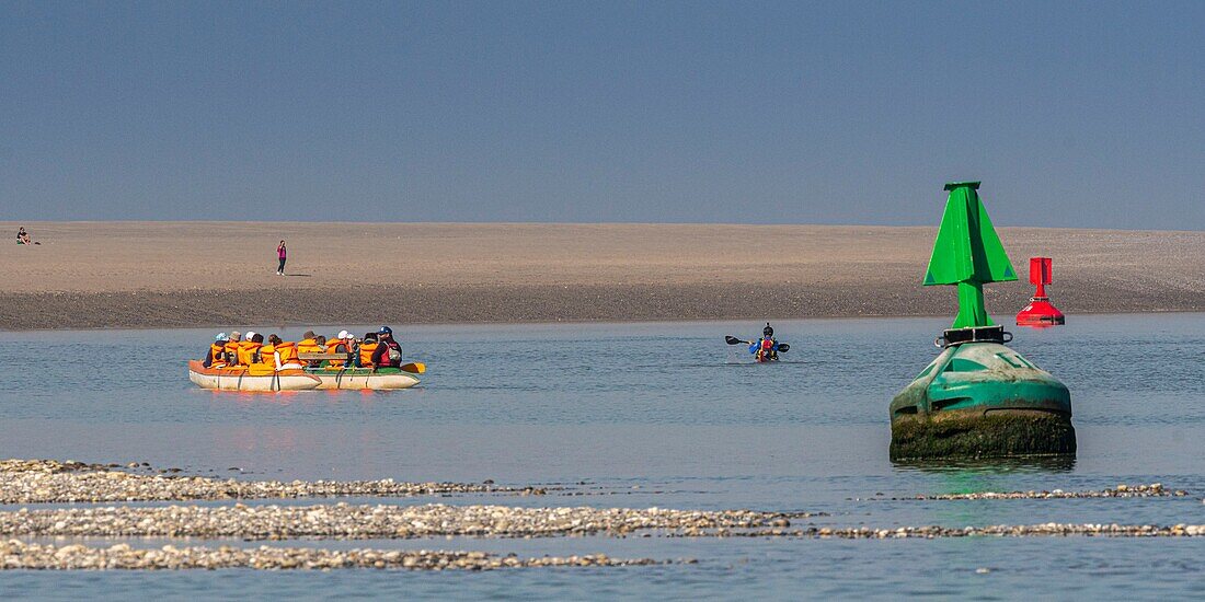 Frankreich,Somme,Baie de Somme,Le Hourdel,Indonesische Kanus und Kajaks bei Flut,die Boote kommen, um auf die Strömung und die Gezeiten am Eingang der Bucht zu warten und dann mit Hilfe der starken Strömung hinaufzufahren,manchmal in Begleitung der Seehunde,einige lassen ihr Boot auf den Sandbänken liegen, um die von der Flut vertriebenen Vögel zu beobachten