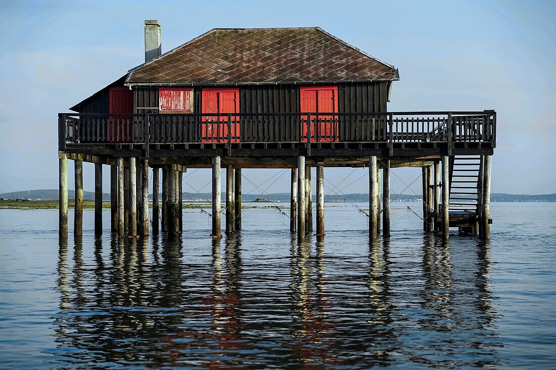 France,Gironde,Bassin d'Arcachon,La Teste de Buch,Ile aux Oiseaux,the Tchanques huts