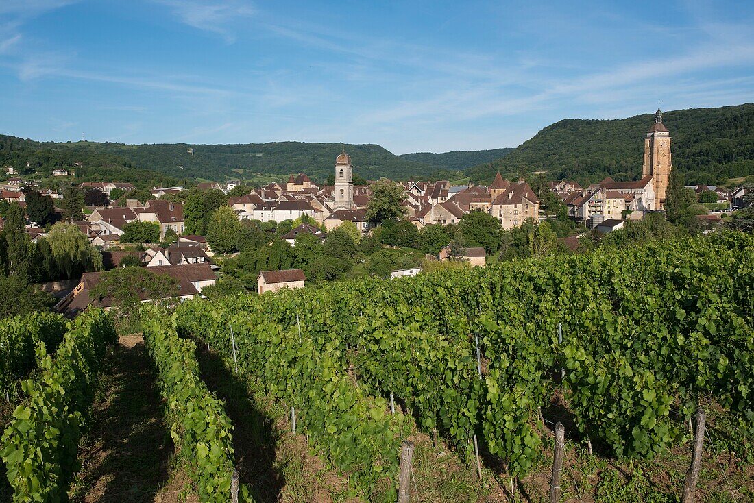 France,Jura,Arbois,the city is surrounded by vineyards that produce among other things the crazy wine of Henri Maire