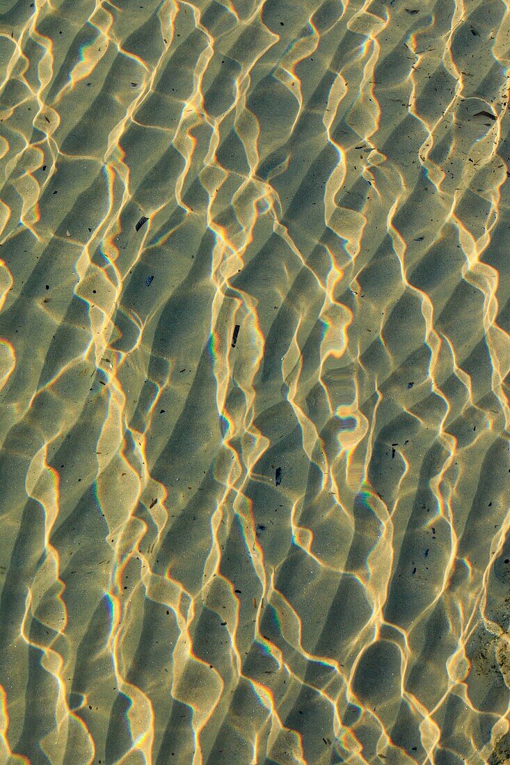 Frankreich,Var,La Londe Les Maures,Strand von Argentiere