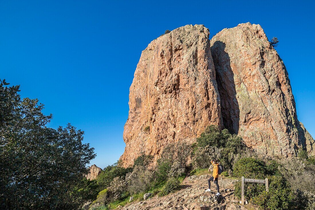 France,Var,Agay commune of Saint Raphael,Esterel massif,the rock of Saint Pilon (442m) at the Cap Roux pass (404m)