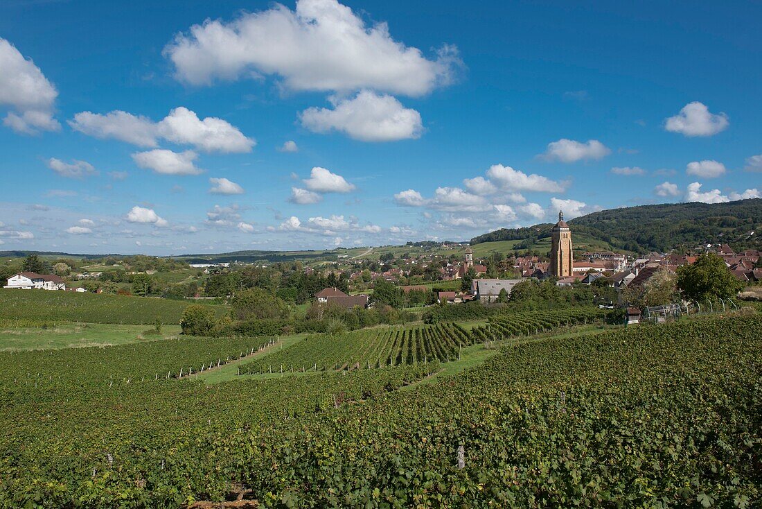 Frankreich,Jura,Arbois,Gesamtansicht des Dorfes inmitten der Weinberge