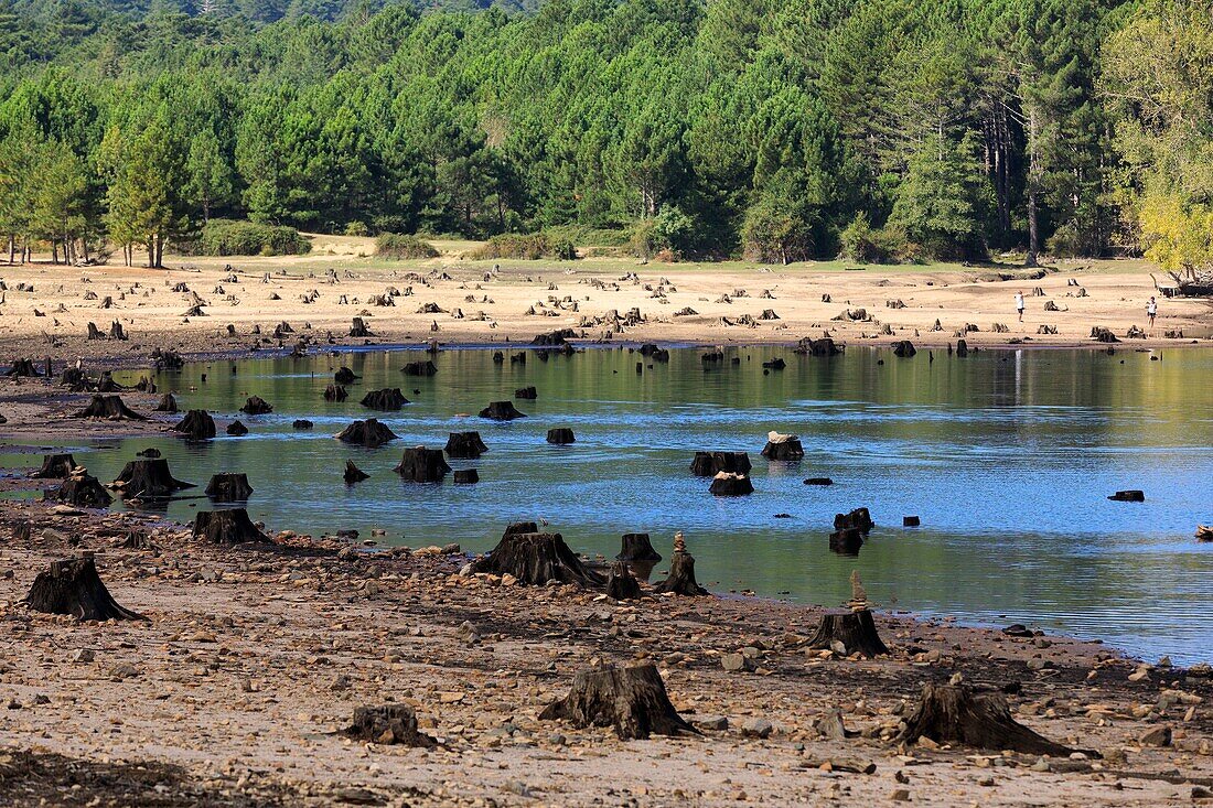 Frankreich,Corse du Sud,Regionaler Naturpark von Korsika,Porto Vecchio,Ospedale See