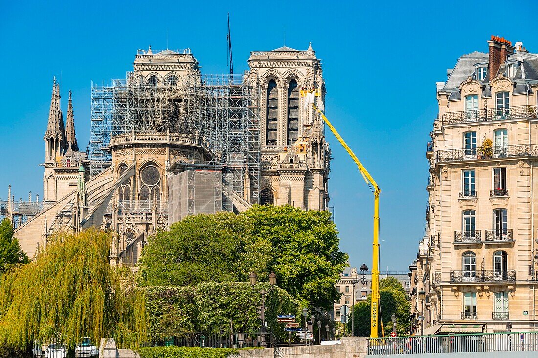 France,Paris,area listed as World heritage by UNESCO,Ile de la Cite,Notre Dame Cathedral,scaffolding,protection after the fire