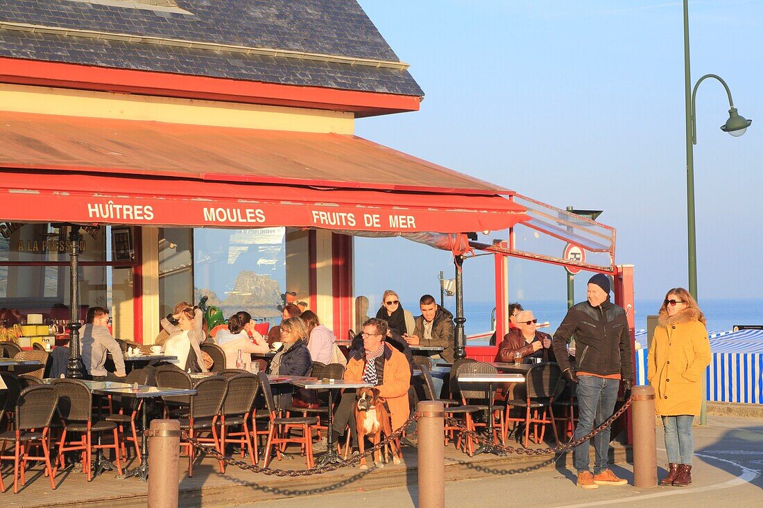 France,Ille et Vilaine,Emerald Coast,Cancale,bar on the waterfront