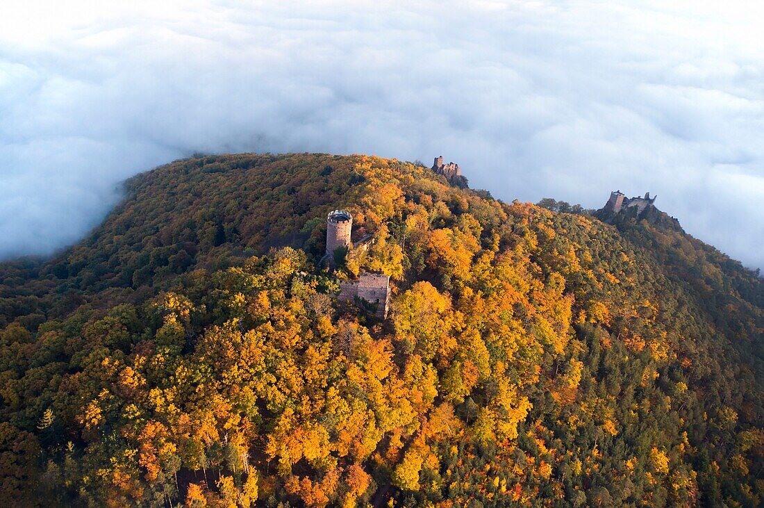 France,Haut Rhin,Ribeauville,Saint Ulrich Castle and Girsberg Castle (aerial view)