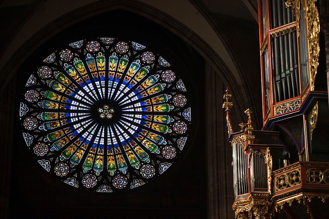 Frankreich,Bas Rhin,Straßburg,Altstadt als Weltkulturerbe der UNESCO,Kathedrale Notre Dame,Rose mit 15 m Durchmesser,Orgel