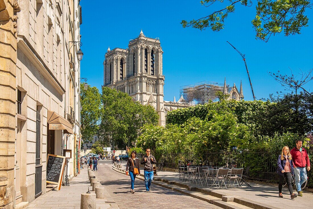 France,Paris,Saint Michel district,rue Dante and Notre Dame de Paris
