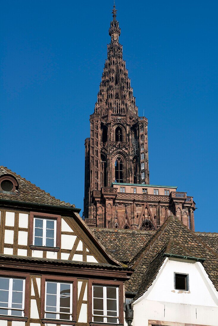 Frankreich,Bas Rhin,Straßburg,Altstadt,von der UNESCO zum Weltkulturerbe erklärt,Kathedrale Notre Dame