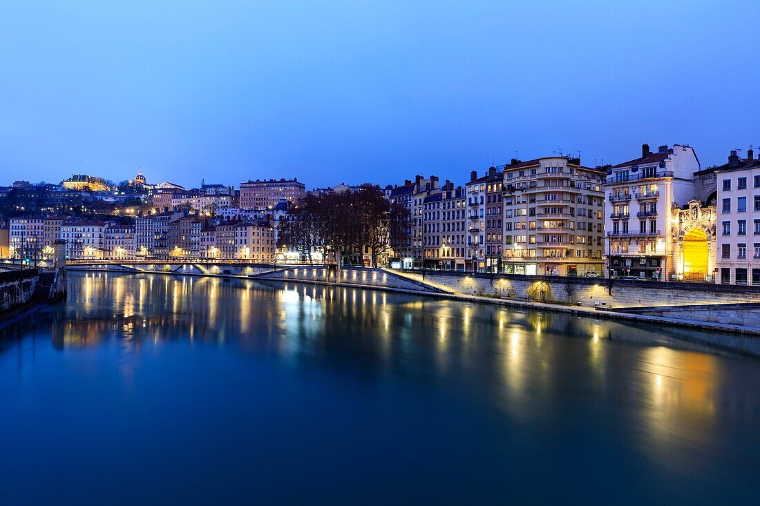 France,Rhone,Lyon,1st arrondissement,Les Terreaux district,Saint Vincent quay,the Saint Vincent footbridge on La Saone